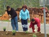 APRIL 2009 _Karitas, kuharski dan, zeleni program- Brežec, treni 107